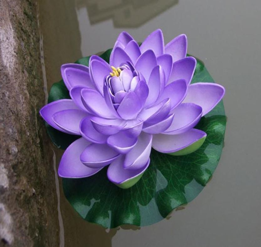 گل نیلوفر (بسته بندی 50 گرمی)